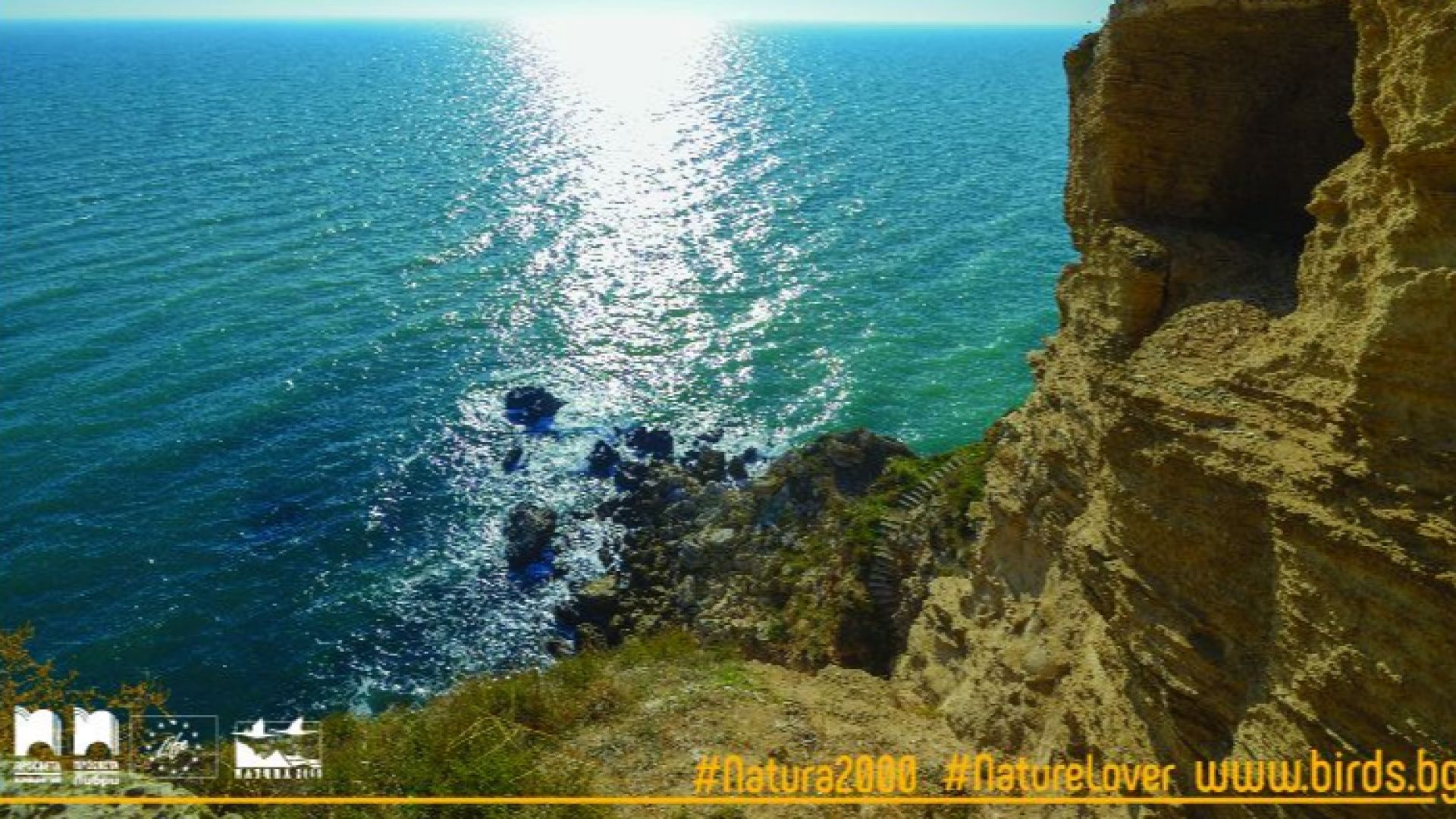 Над половината от българите са на мнение че икономическото развитие