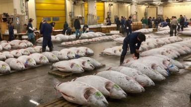 Прочутият рибен пазар в Токио проведе последния си търг