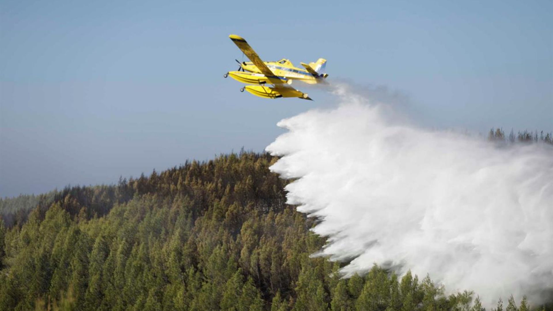 Големи горски пожари бушуват край Лисабон Пламъците са обхванали площи