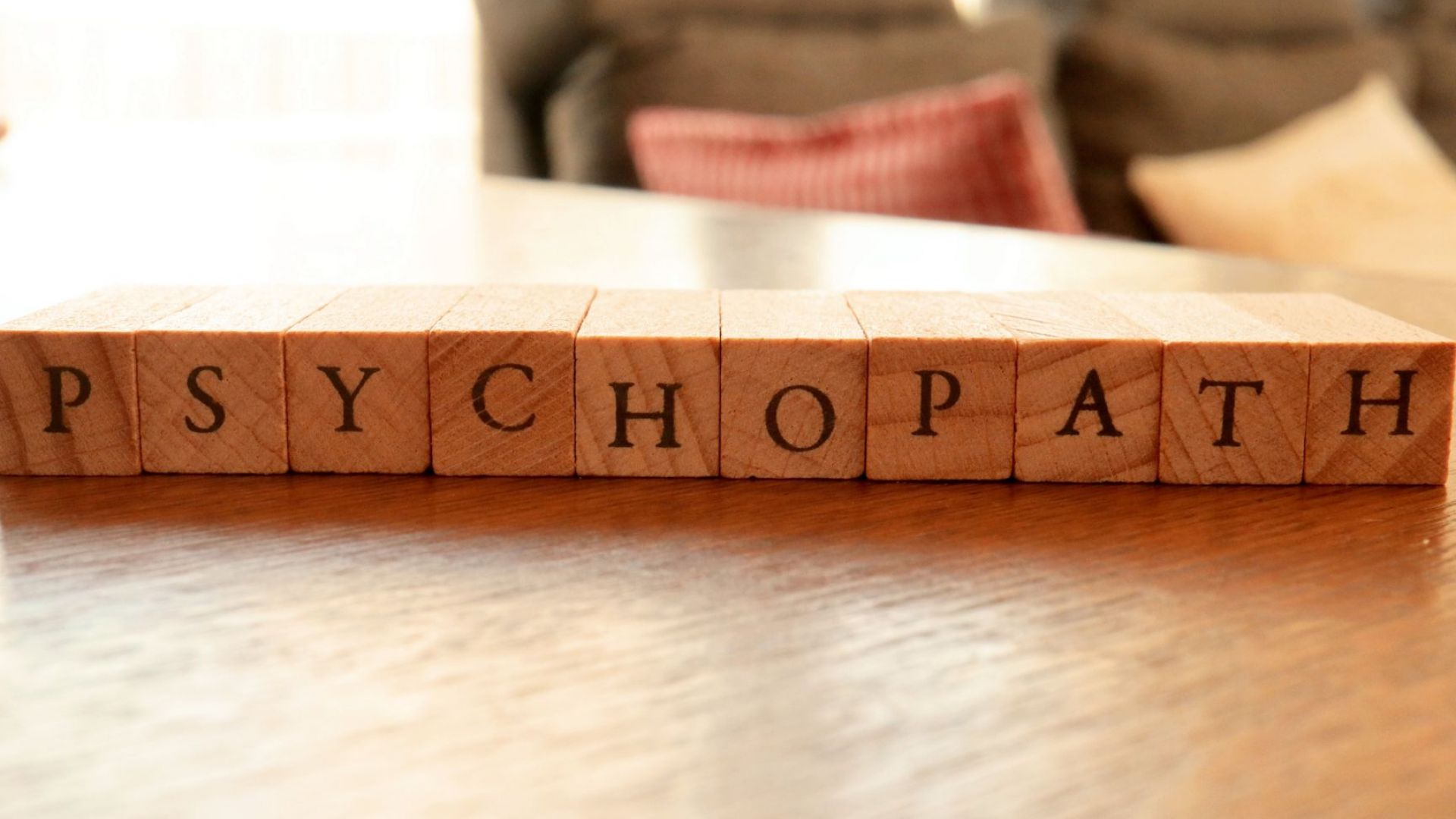 Става въпрос за импулсивен емоционално нестабилен ревнив психопат който е