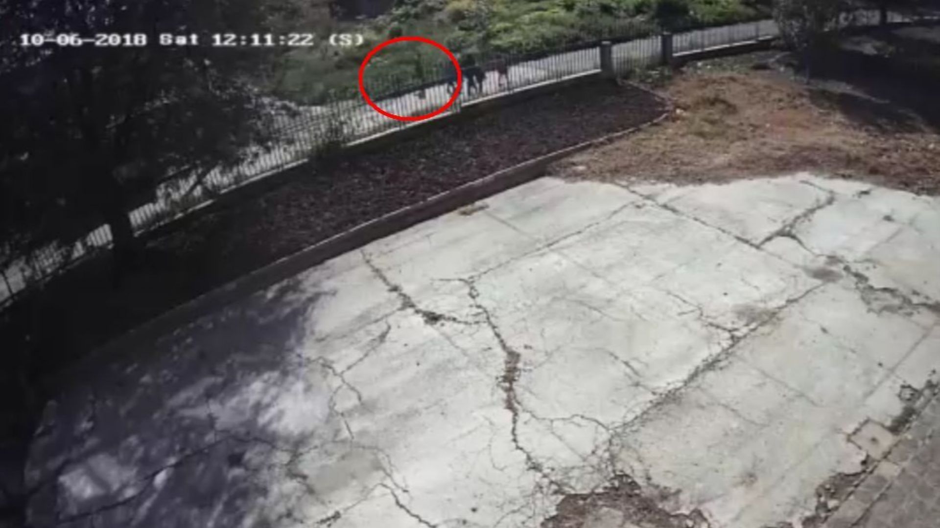 На видеозапис от охранителни камери се вижда как мъж бяга