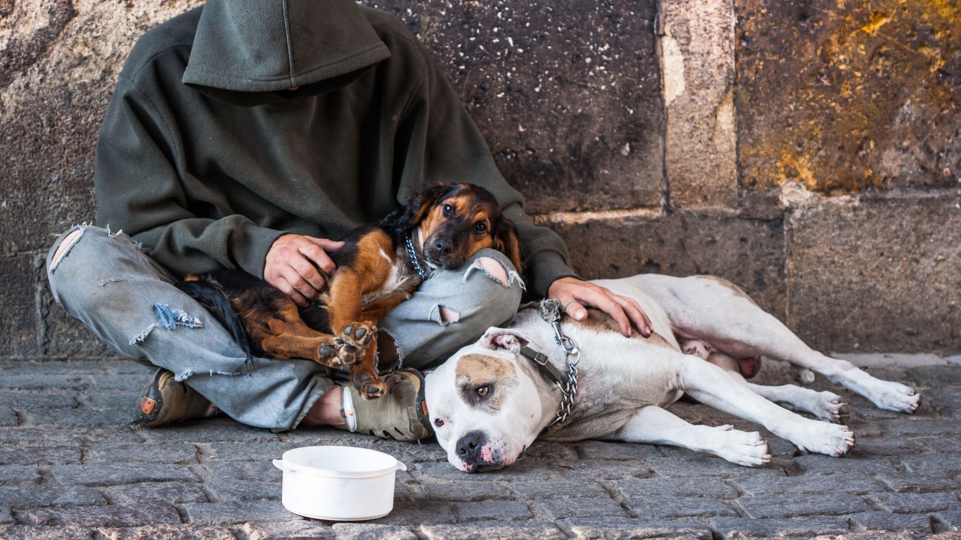 В Унгария от днес влиза в сила закон който забранява