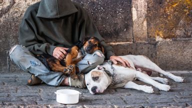 В зимните месеци Община Пловдив осигурява подслон на бездомни в