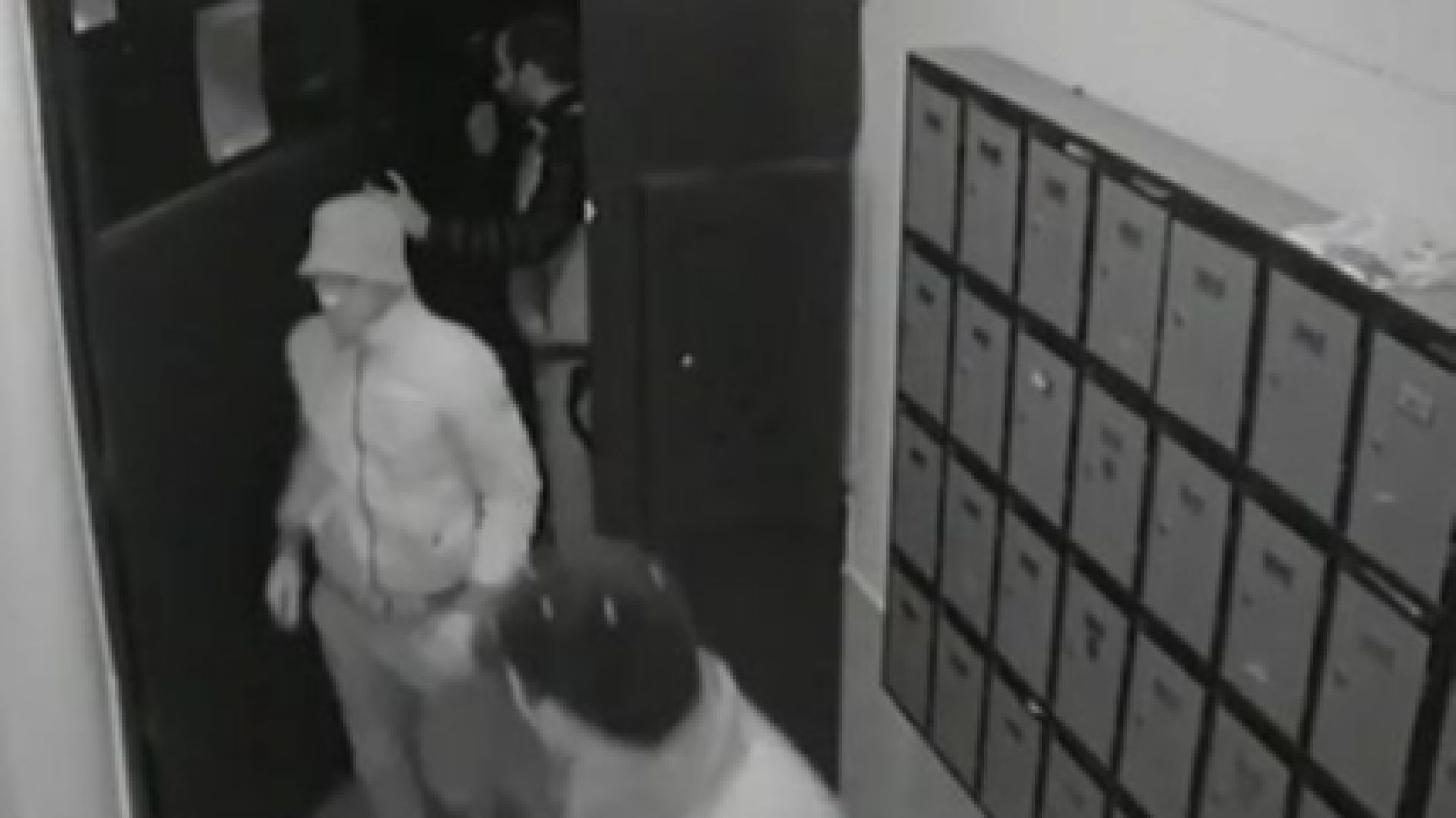 Виж още Отмъкнаха три велосипеда от жилищен блок в