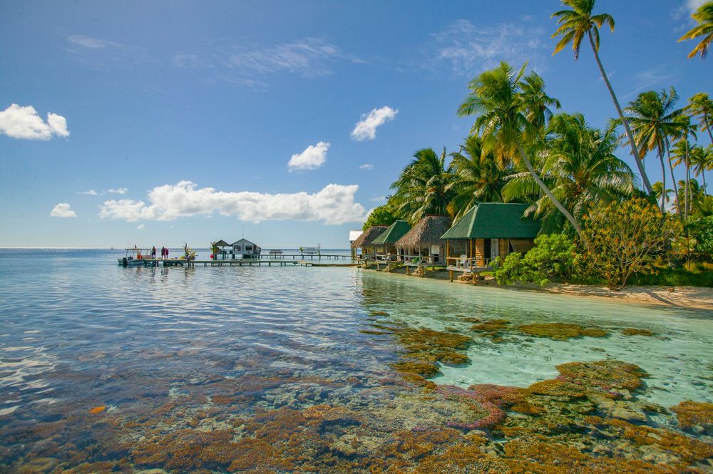 ЕНСО или Ел Ниньо е грандиозно по обхвата си събитие за Пасифика. На снимката - островите Тонга в Тихия океан