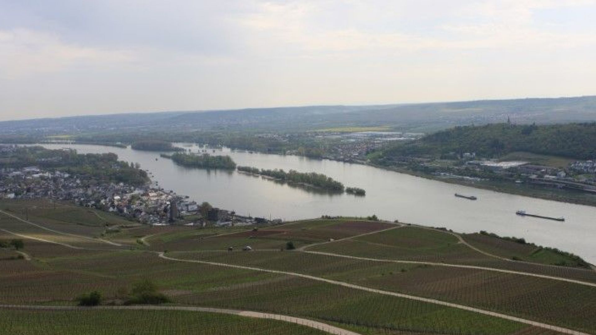 Спряха корабите по Рейн водата в реката е критично малко