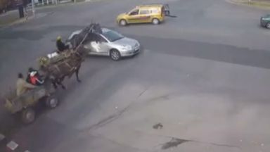Впрегнати в каруца коне връхлетяха кола в Хасково (видео)