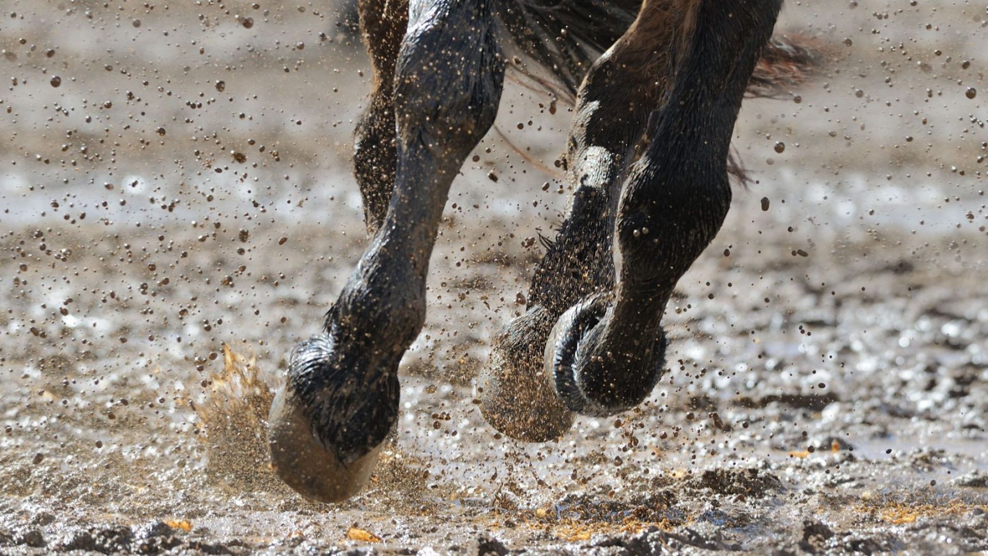 2 годишно дете е загинало вчера в Сливен след като е