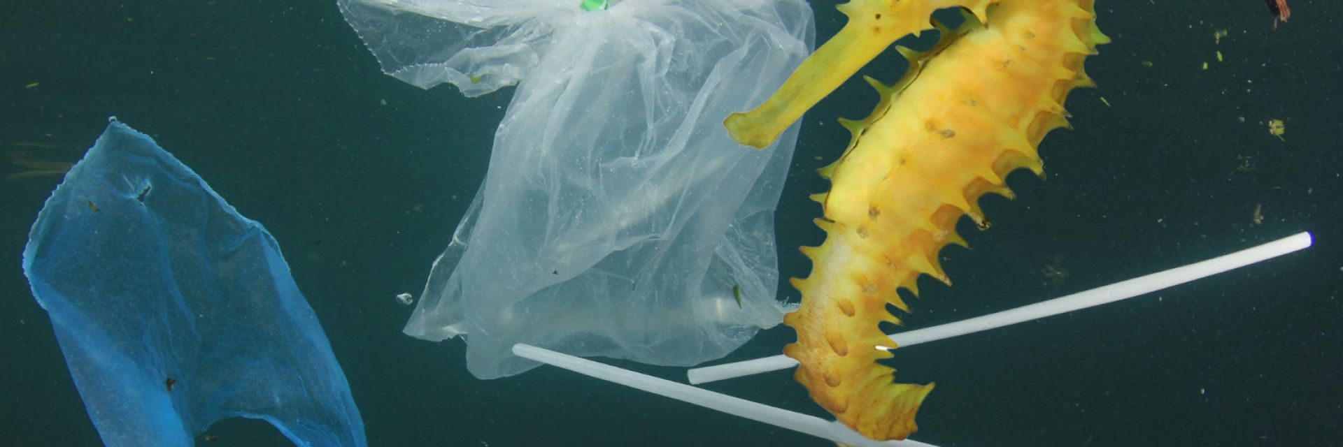 Следят от космоса пластмасовите отпадъци в океана