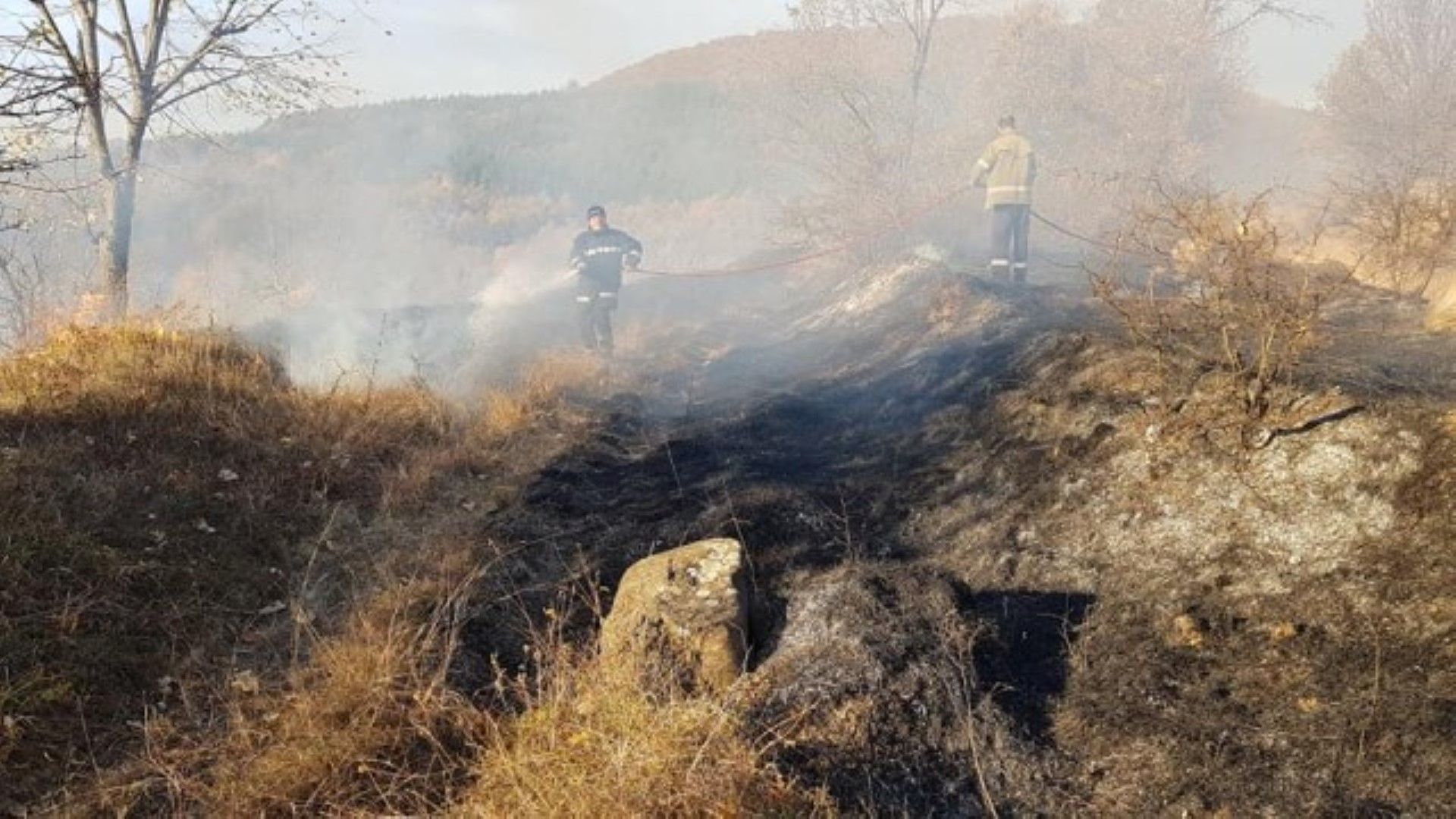 Голям горски пожар избухна преди около два часа на границата