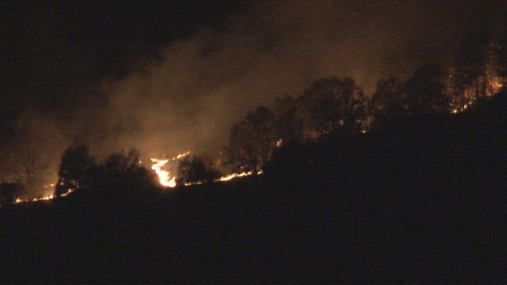 Виж още Пожарът край София е изгасен но огнеборци ще