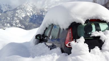 Mечка отвори кола и влезе вътре, подгонена от снежна буря  (видео)