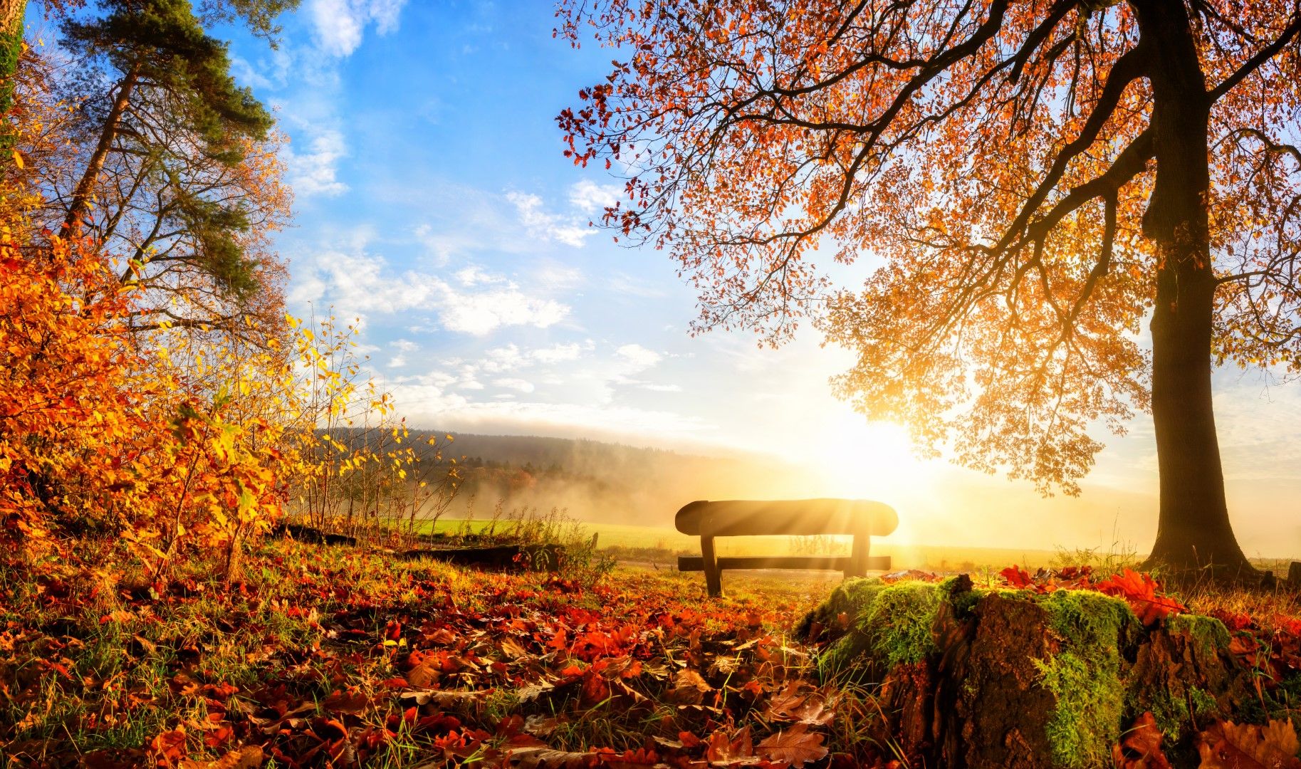 Златната есен продължава със слънчево време и почти летни температури