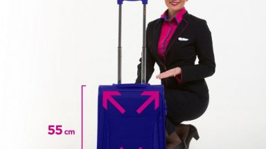 Лоу кост авиокомпании защитават новите такси за багажите
