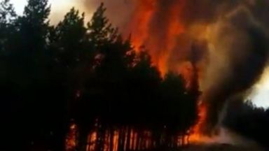Два пожара в Родопите, край Белица гори борова гора