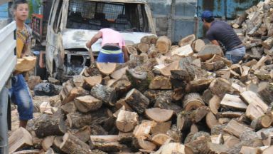 Граждани алармират, че дървата за огрев и пелетите масово и трайно поскъпват
