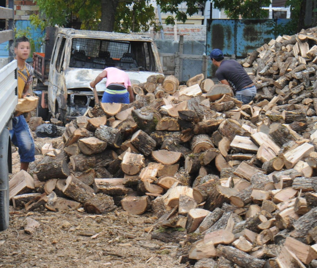 дървата поскъпнаха и тази година, но за румънците явно все още са евтини