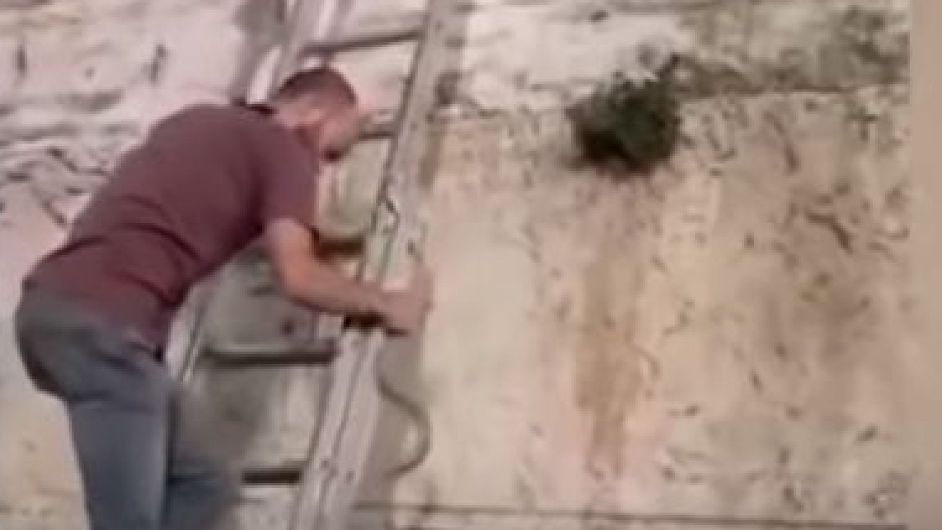 Едно видео обиколи света Заснето е на 1 ноември 2018