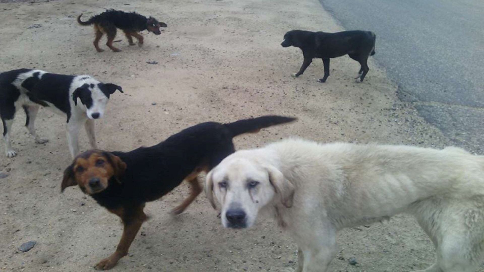 След подаден сигнал е извършена проверка от Областната дирекция по