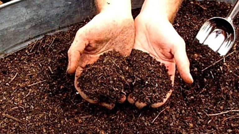 Калифорния може да легализира човешкото компостиране