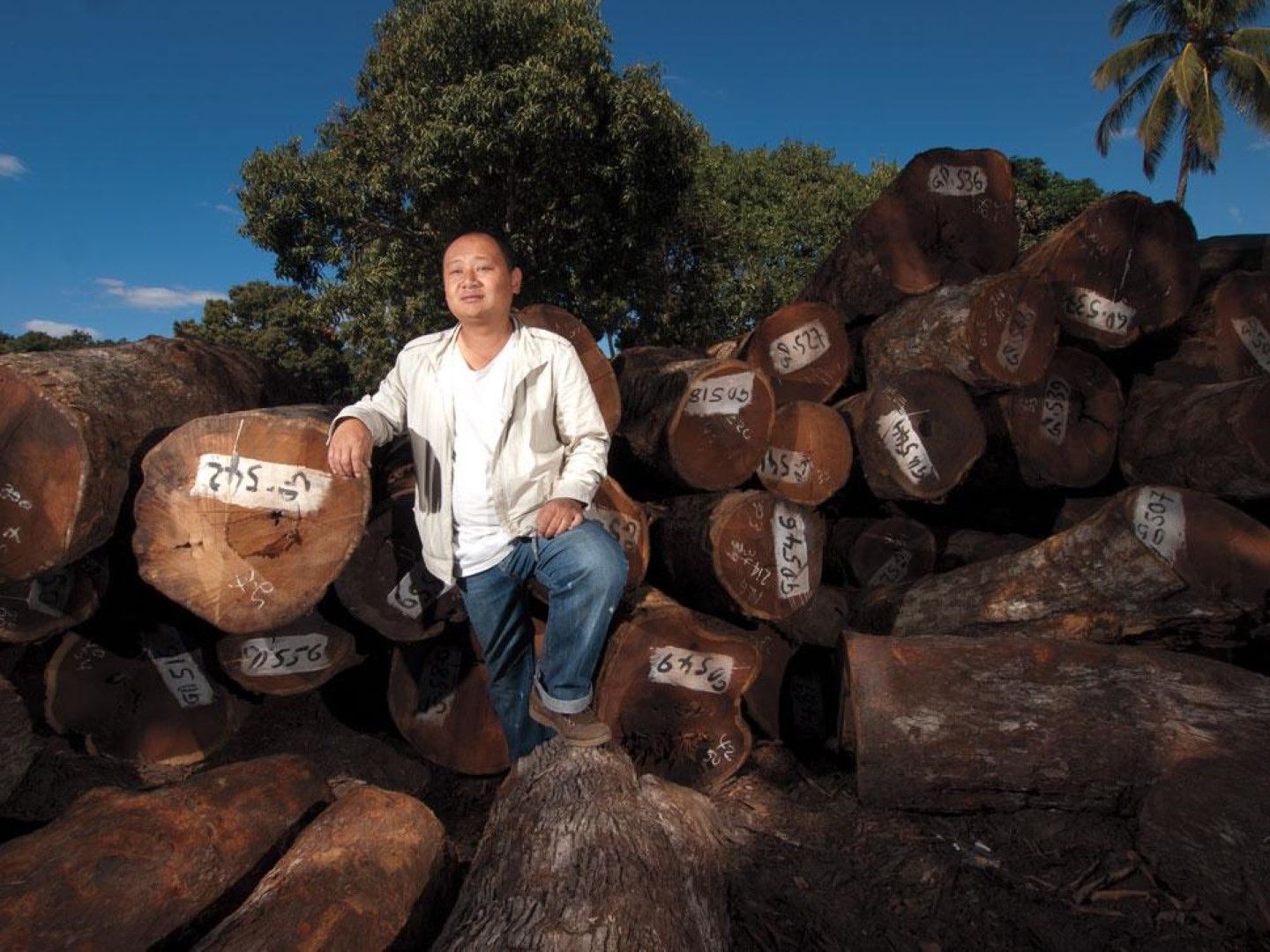 Легално и нелегално, китайците изнасят дървесина от Русия в големи обеми