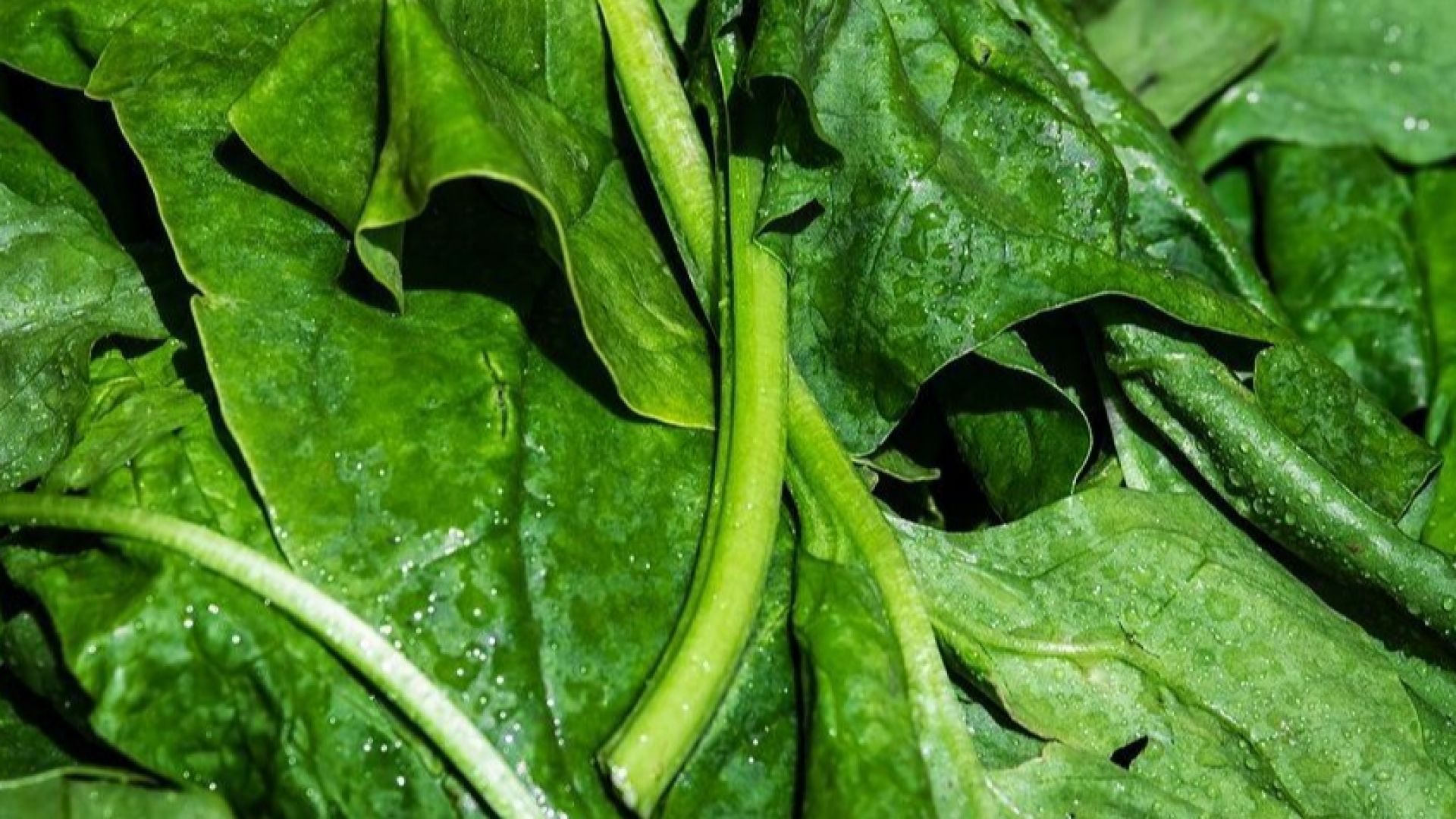 Българската агенция за безопасност на храните спря от разпространение в