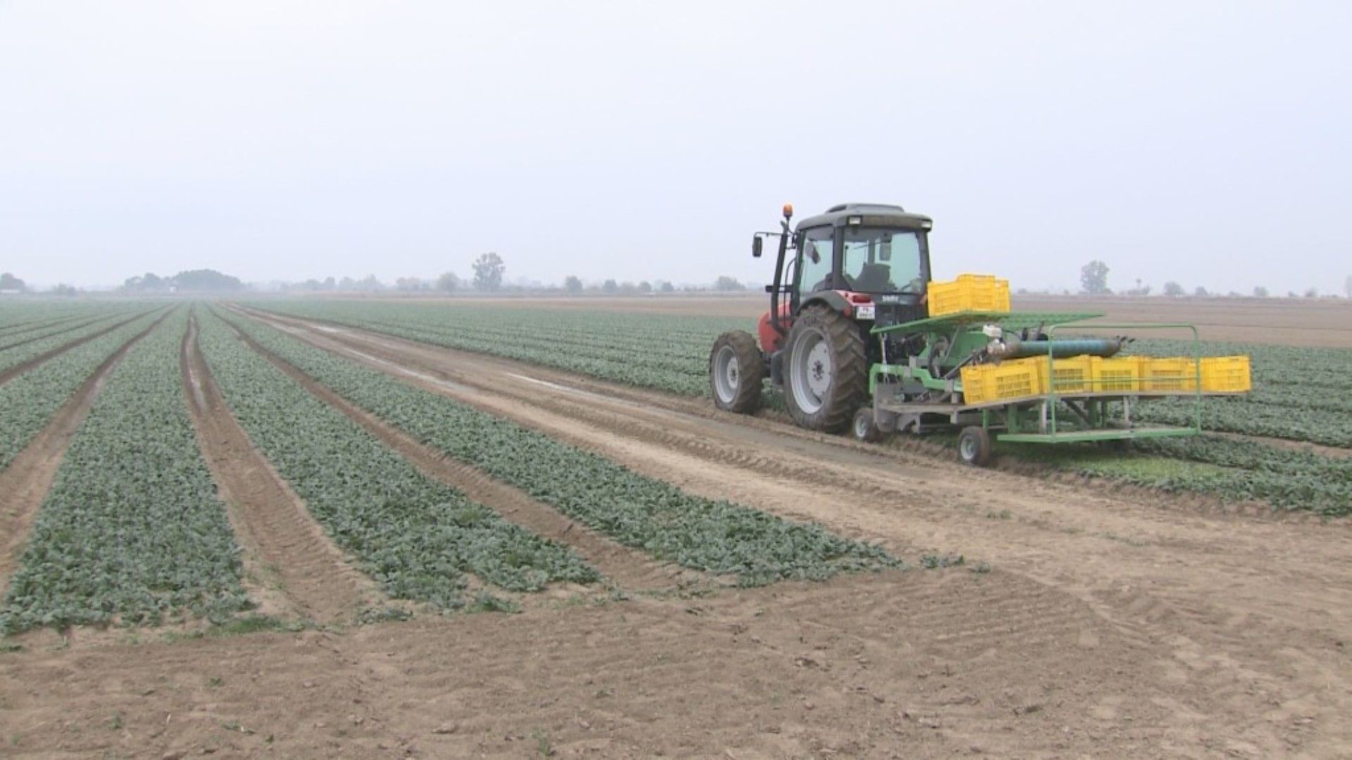 Галин Иванов от Попово и съпругата му които са сред