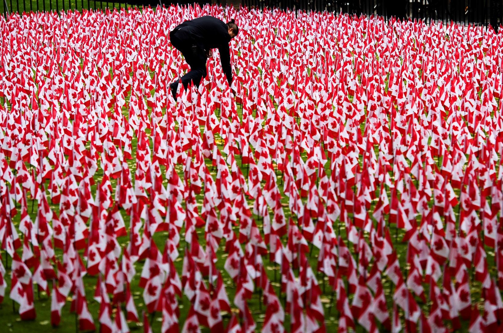 Стотици хартиени канадски знамена пред мемориала в памет на загиналите във войната в Торонто