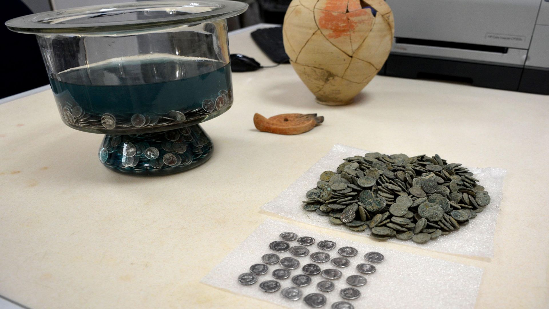 На територията на Затвора в Плевен при обработка на земеделска