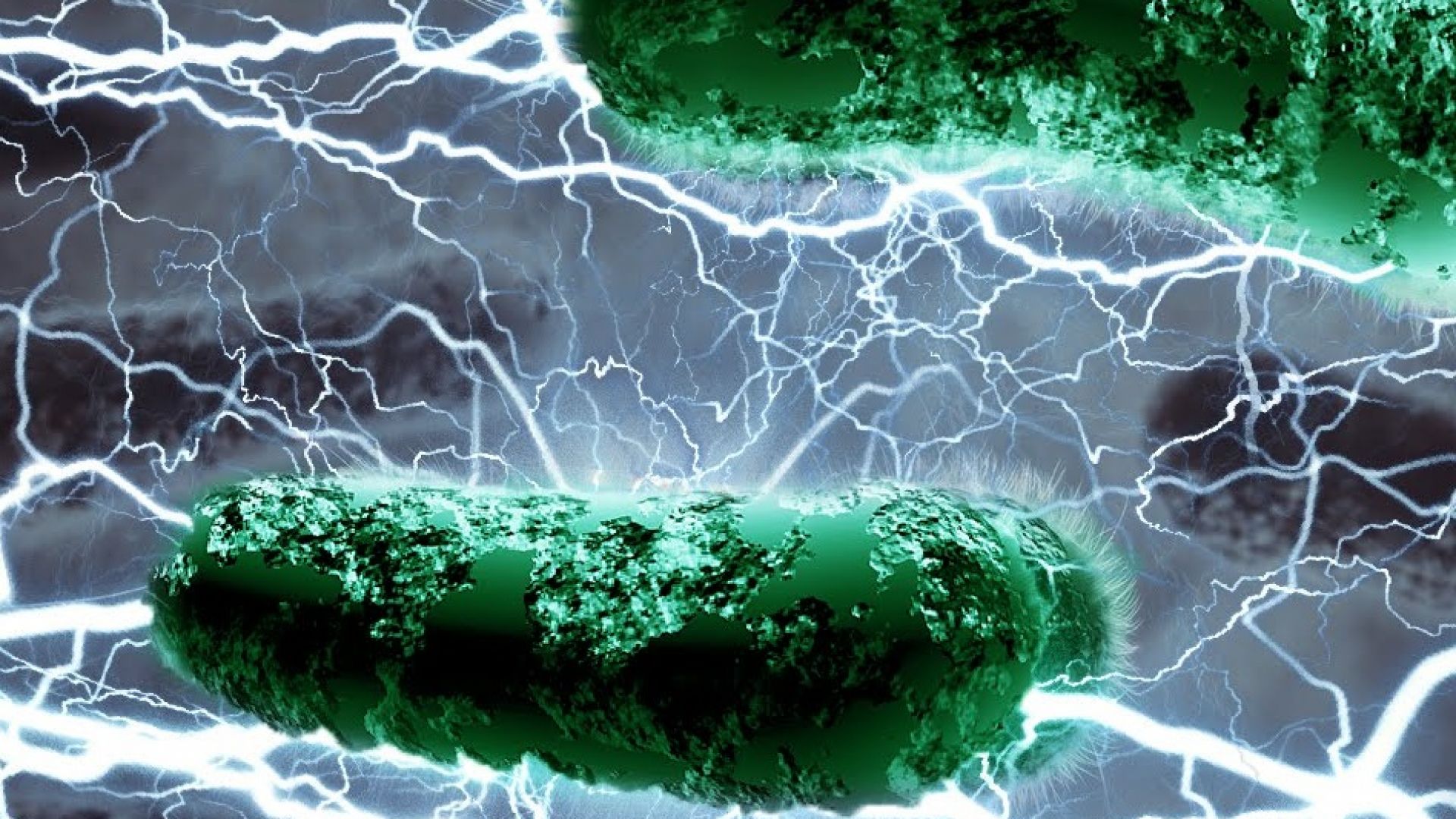 Учени създадоха бионични гъби, които произвеждат електричество