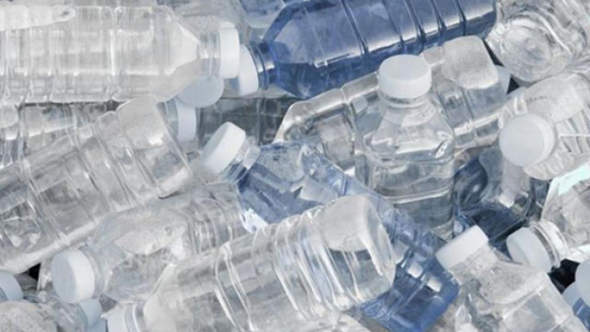 Използването на пластмасовите бутилки и чаши в Общинския съвет и