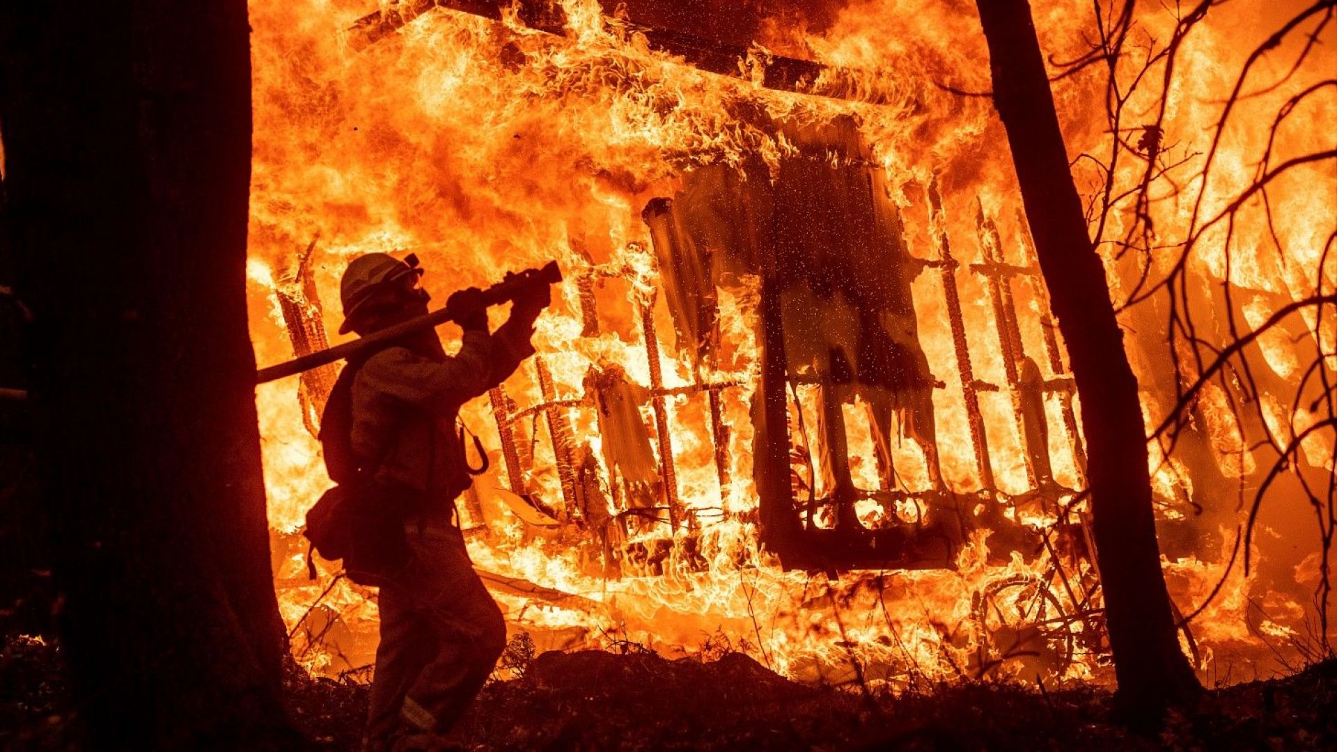 Асоциацията Калифорнийски професионални огнеборци реагира гневно на публикация в Туитър