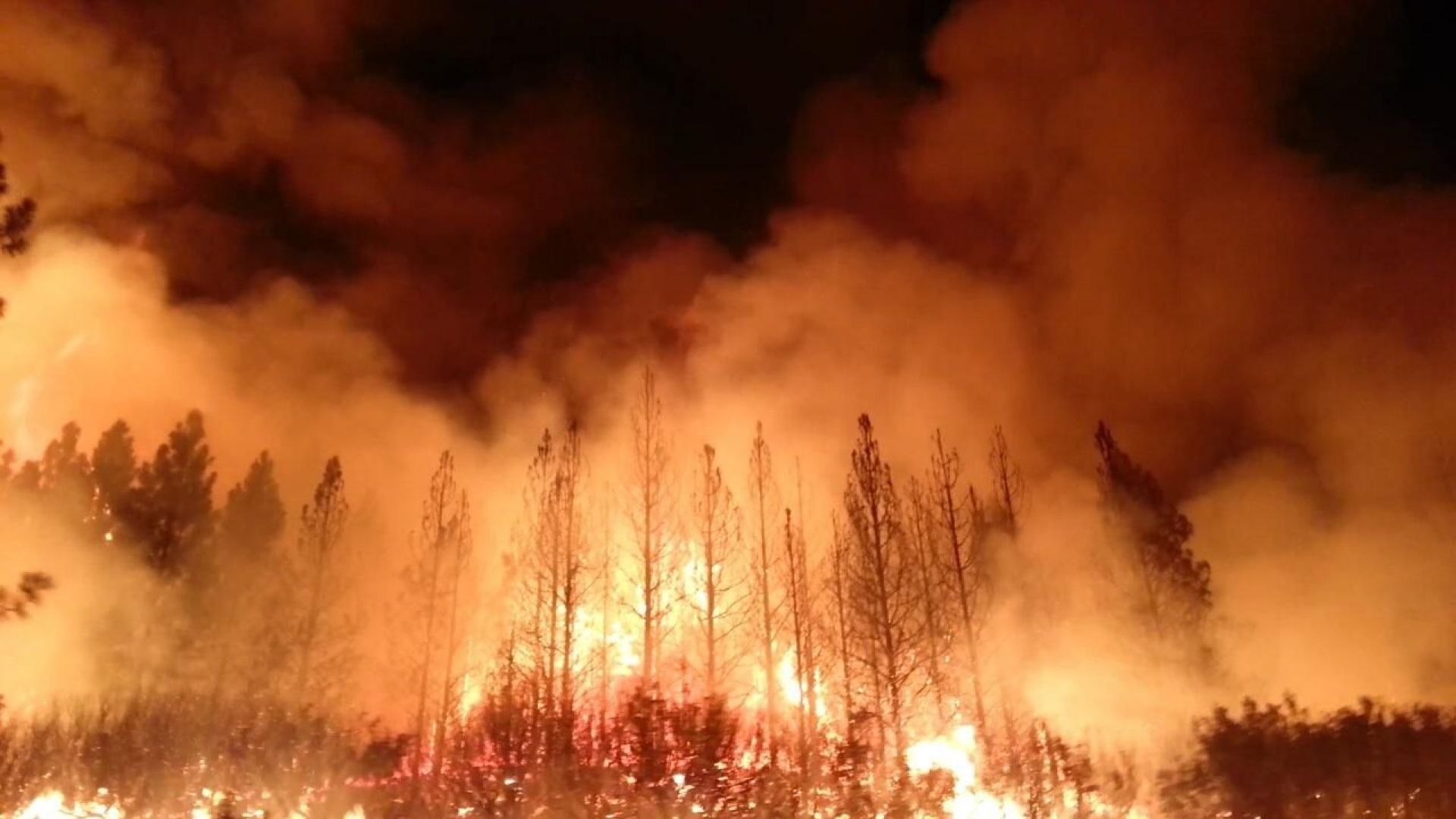 Климатолози: пожарите ще стават все по-яростни, големи, бързи и опасни (видео)