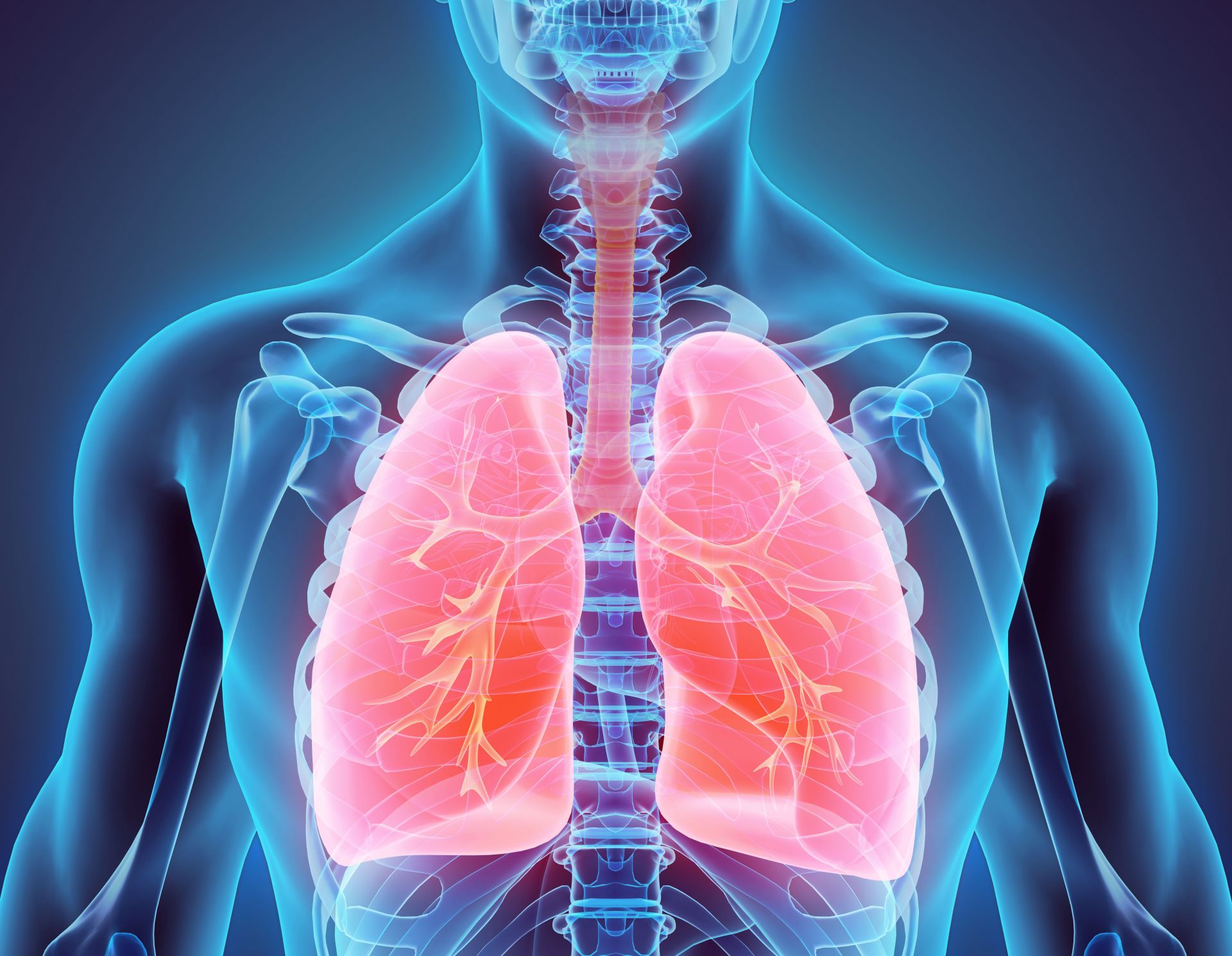 Туберкулозата е хронично инфекциозно заболяване, което засяга главно дихателните органи