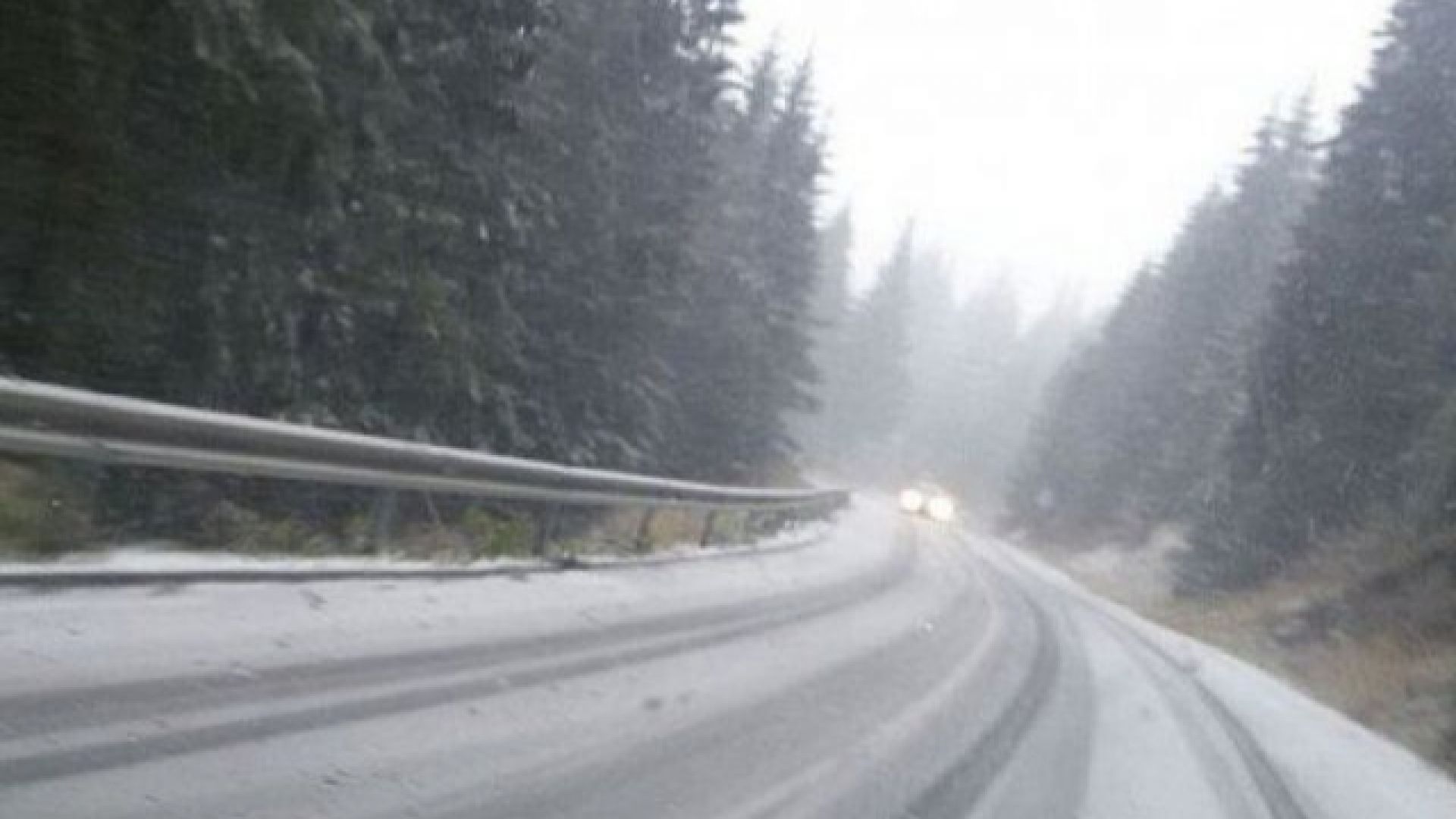 Тази сутрин на прохода Превала вече се образува снежна покривка