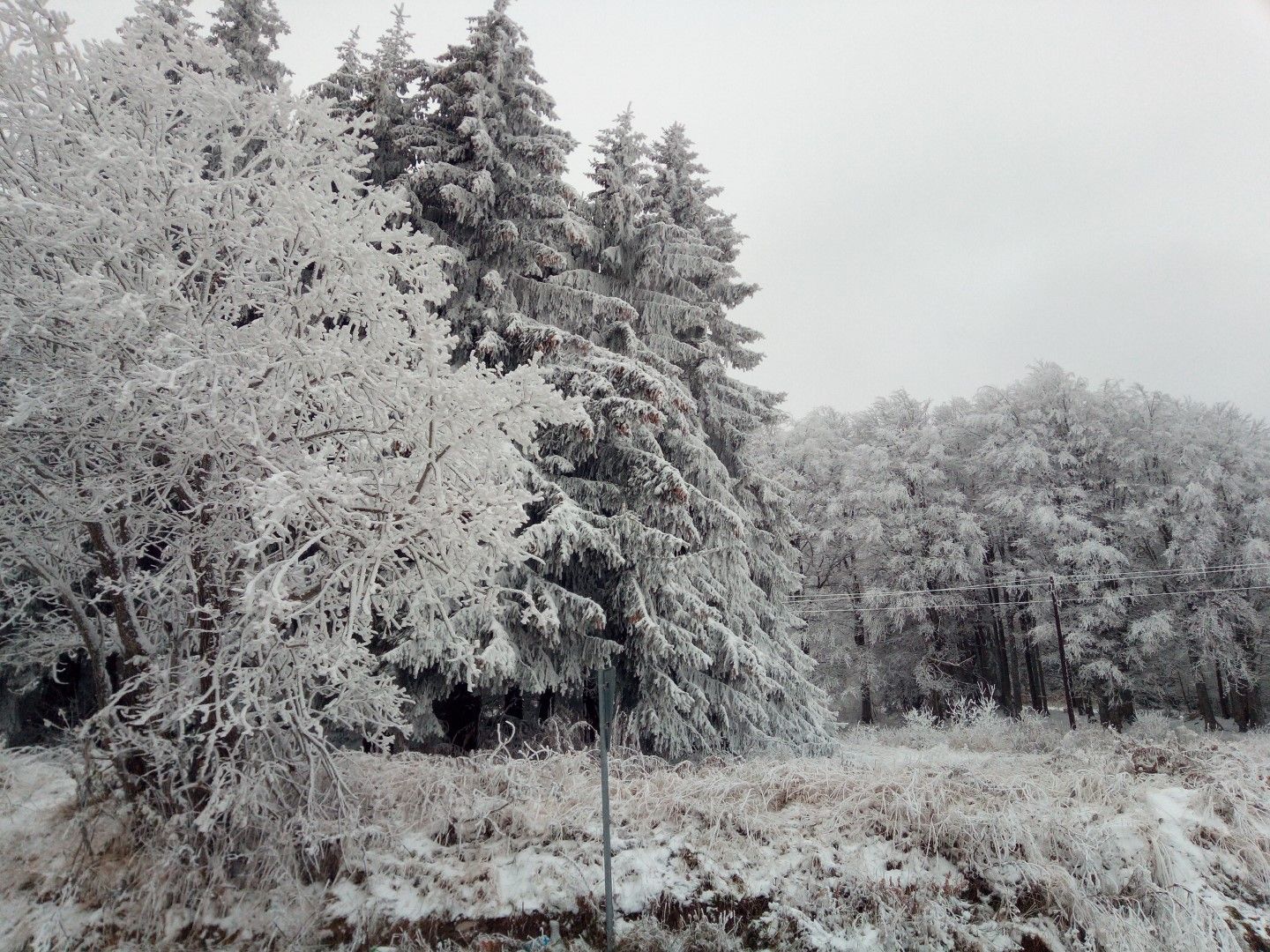 На Петрохан още вчера след обяд имаше няколкосантиметрова снежна покривка и силен скреж