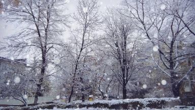 Снегът в Плевен и Видин - повече, отколкото в Москва