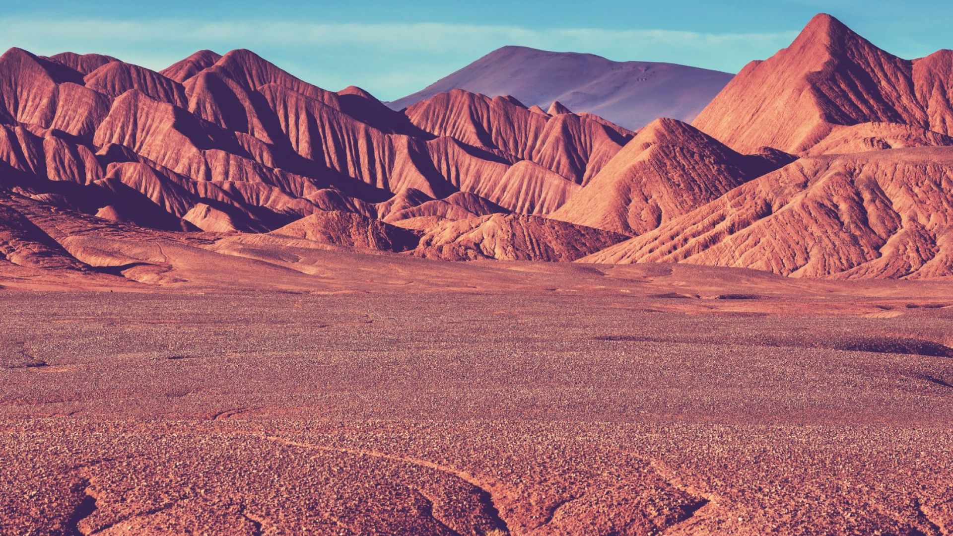 5 годишно момченце оцеля 24 часа в пустиня в Аржентина Детето