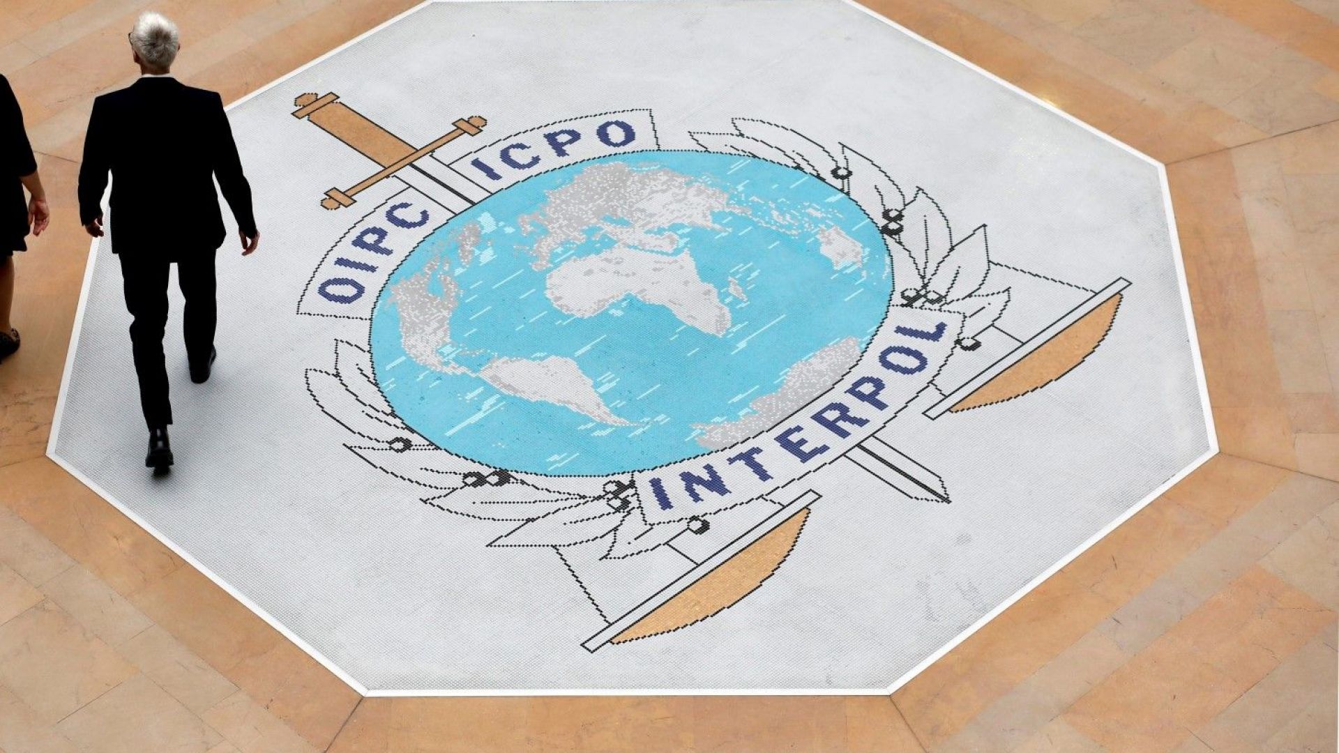 Международната полицейска организация Интерпол отказа да коментира искането на Русия