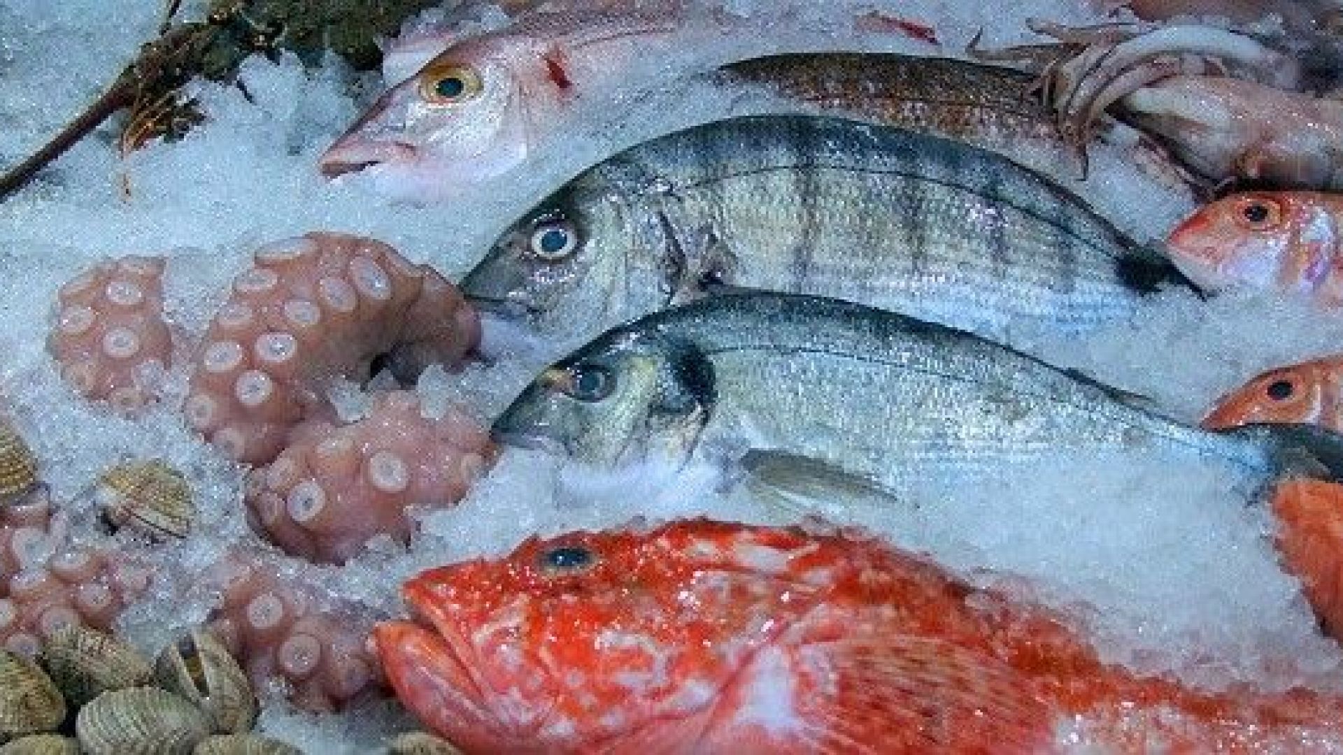 Българинът харчи средно по 40 лв на година за морски