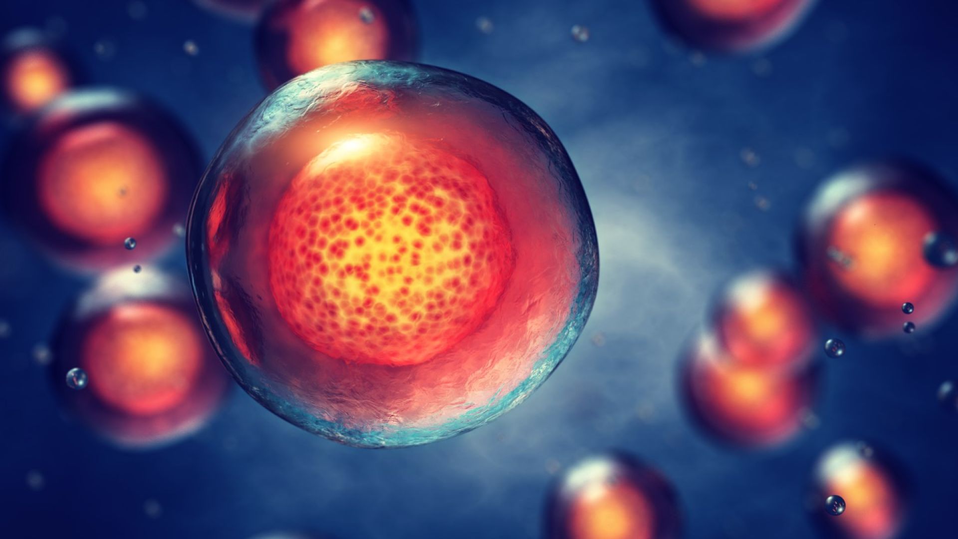 Британски учени направиха полусинтетични човешки клетки