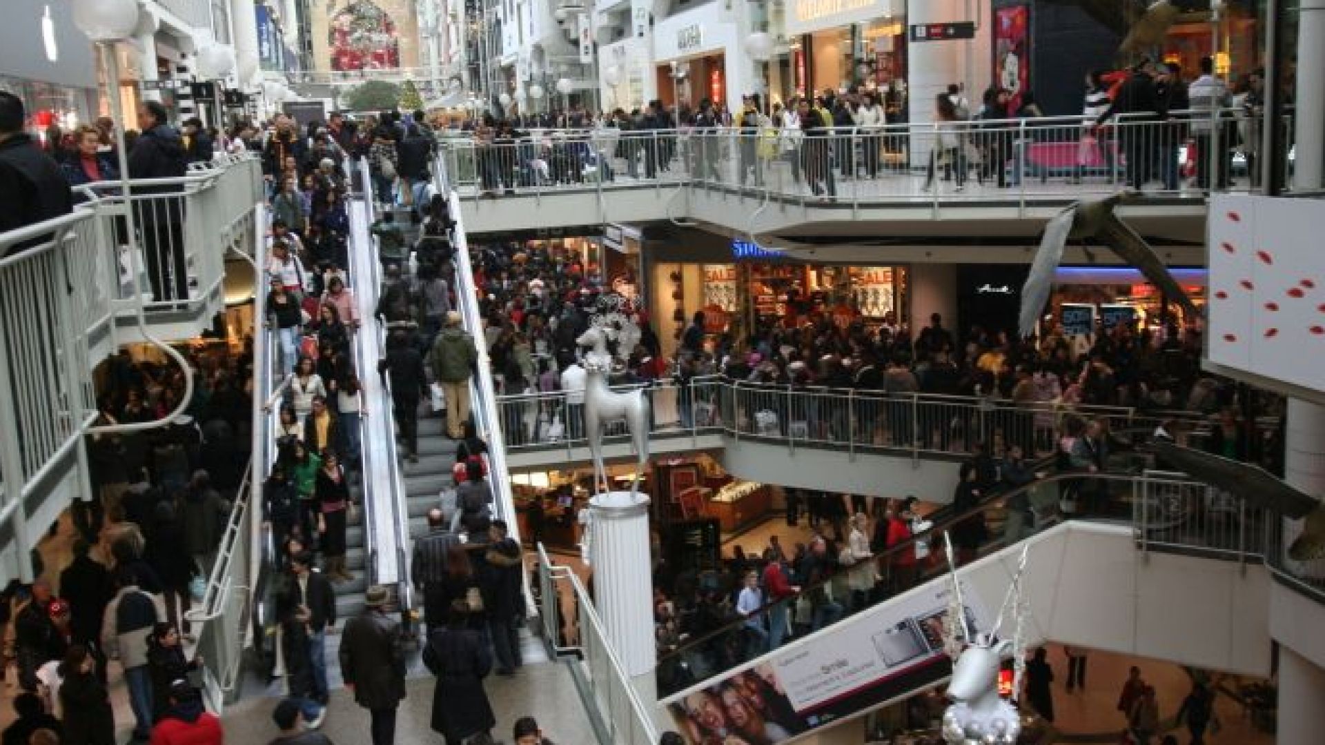 Търговци от моловете излязоха на протест Причината че трябва да