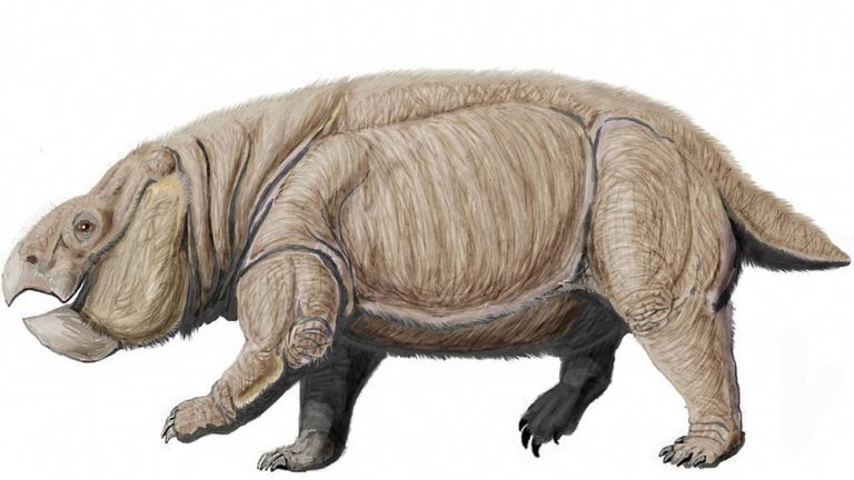 Откриха вкаменелостите на нов вид огромен бозайник