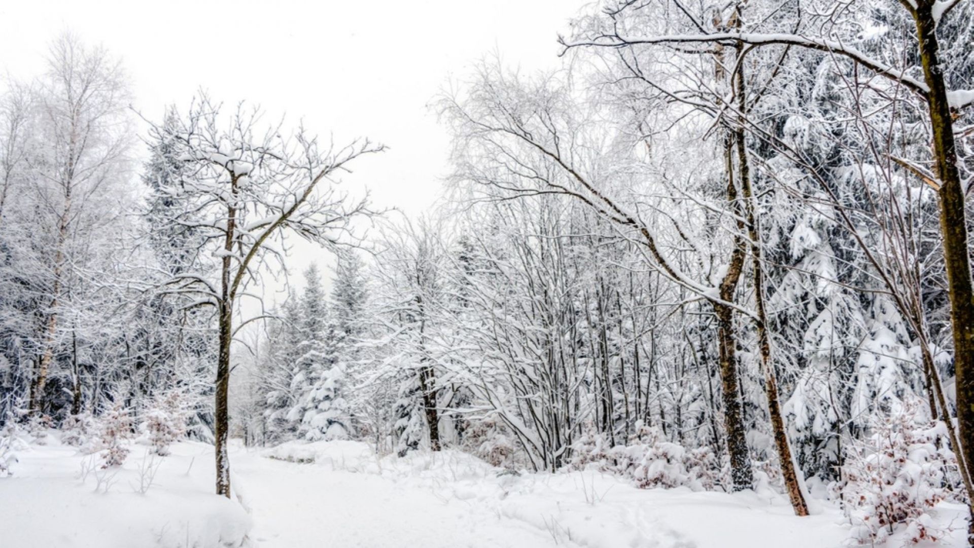Близо 30 души сред които служители от звената Пожарна и
