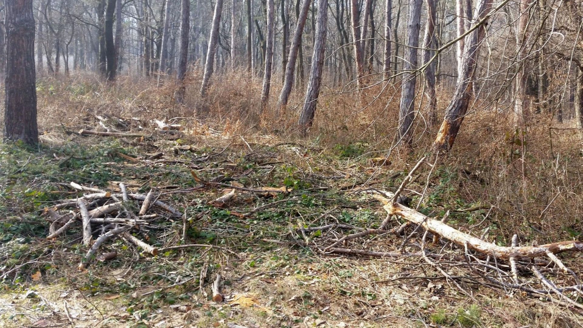В късния следобед на 28 ноември 2018 г в служебния