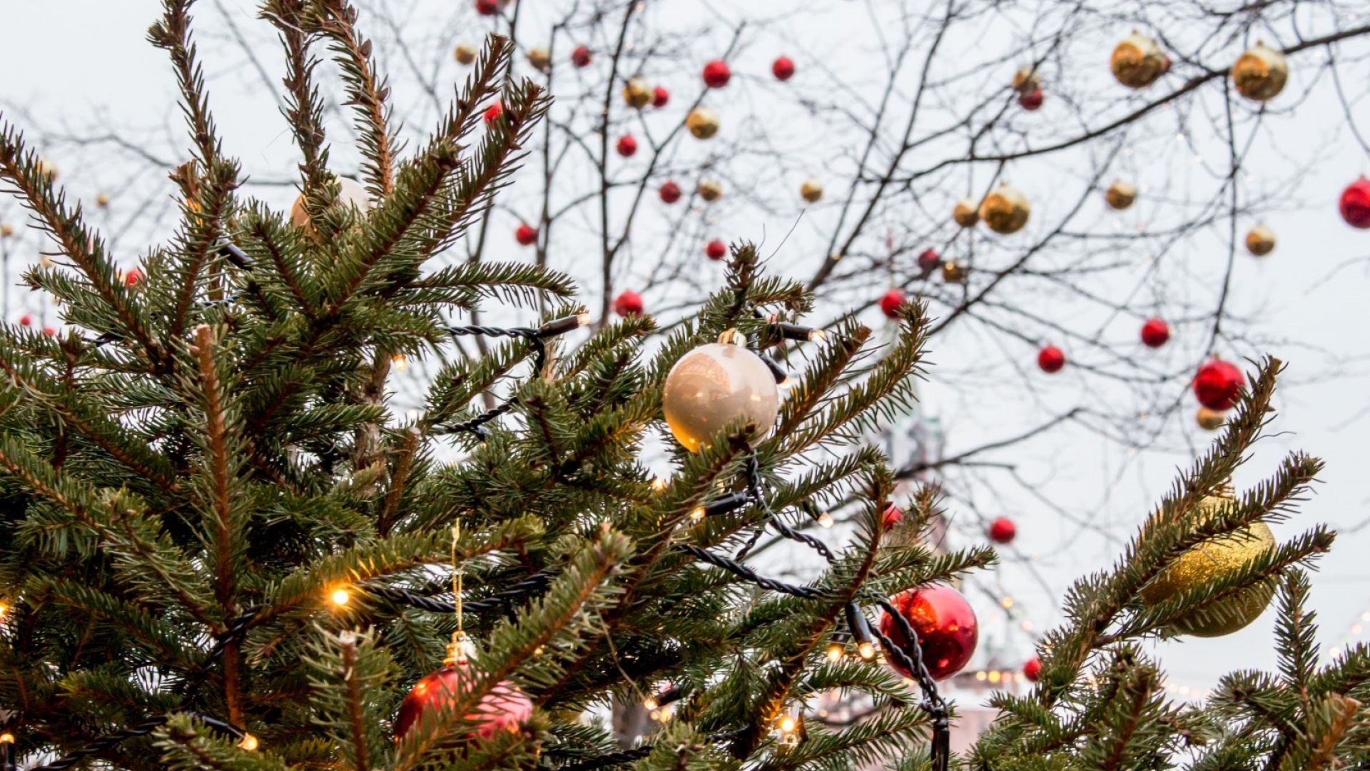 Най ниските температури през декември у нас ще бъдат между минус