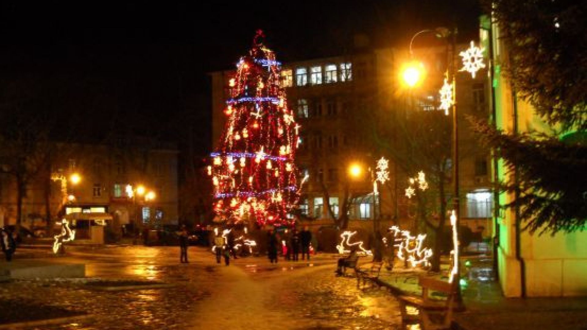 Запалването на светлините на коледната елха във Варна ще бъде