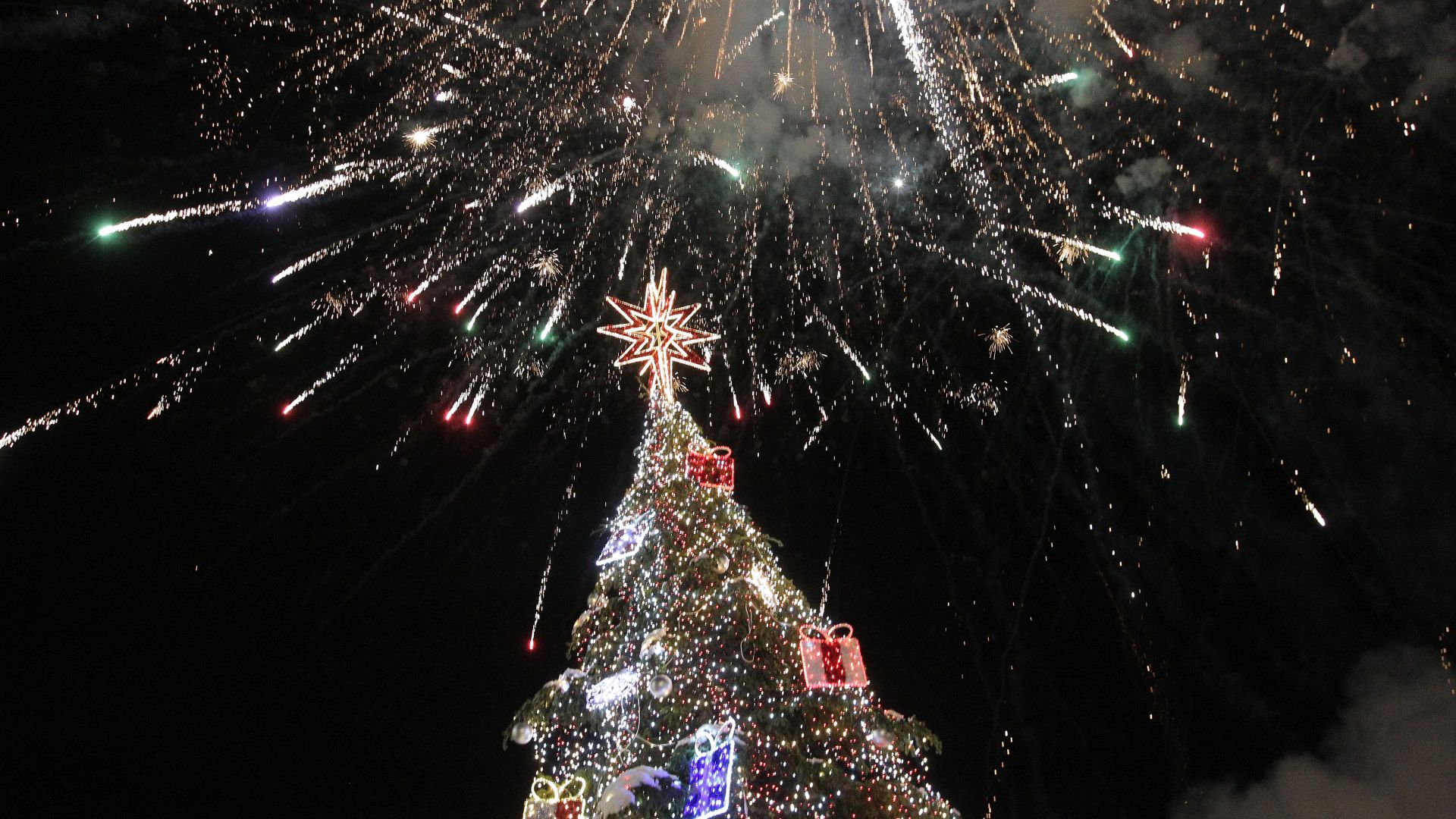 Светлините на коледната елха в София бяха запалени в 19