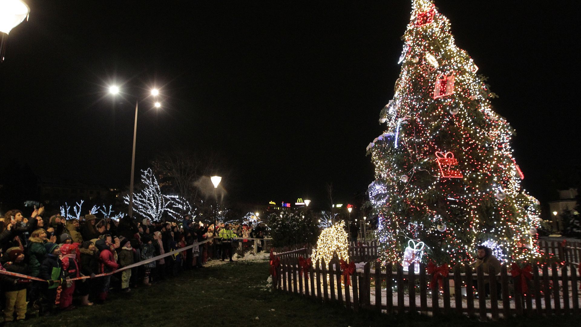 Тази година заедно с Коледното дърво на община София в