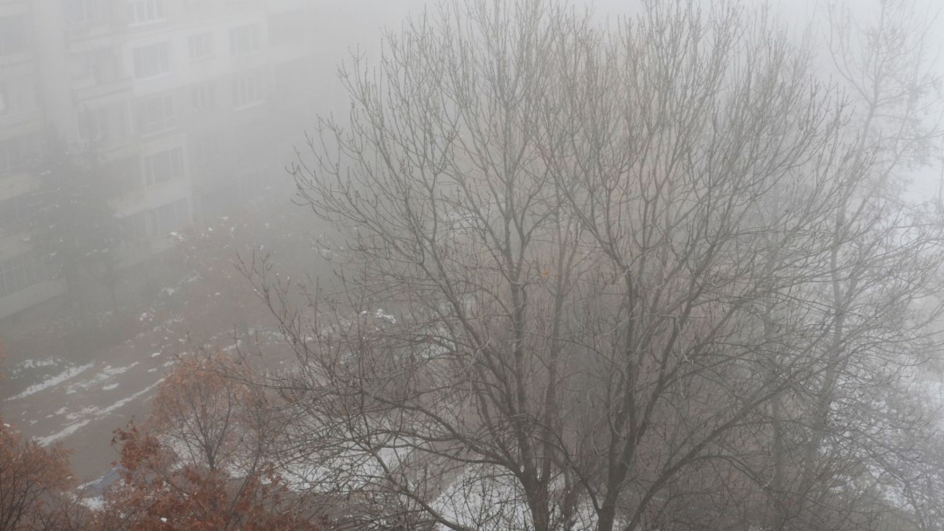 ГЕРБ категорично застава зад Йорданка Фандъкова и общинските съветници на